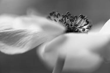 Untitled (Keren Or) - Muzeo.com