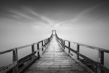 Untitled (Jana) - Muzeo.com