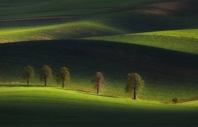 Untitled (Tomasz Rojek) - Muzeo.com