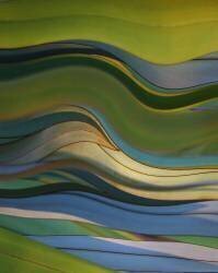 Untitled (Robin Wechsler) - Muzeo.com
