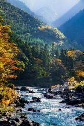 Upstream of the Tama River (Yuusuke Hisamitsu) - Muzeo.com