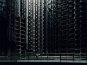 Urban forest (Yasuhiro Takachi) - Muzeo.com