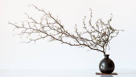 Vase And Branch (Prbimages) - Muzeo.com