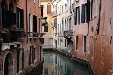 Venice Streets (Barak Shacked) - Muzeo.com