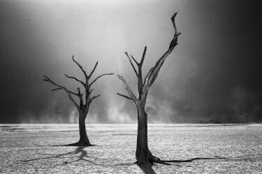 Vie après la mort (Fegari) - Muzeo.com