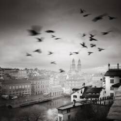 Vue de Lindenhof (Ronny Behnert) - Muzeo.com