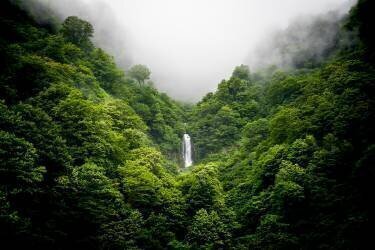 Waterfall where fog flows (Yuusuke Hisamitsu) - Muzeo.com