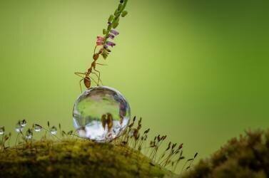 Way to the sky (Ahmad Baihaki ) - Muzeo.com