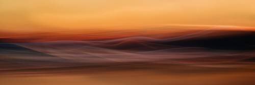 Where nothing grows (Heidi Westum) - Muzeo.com
