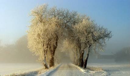 Passerelle d'hiver (Leif Westling) - Muzeo.com