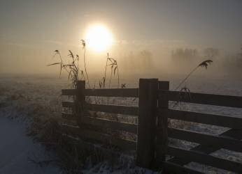 Winter mood (Alida van Zaane) - Muzeo.com