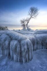 Winter Wonderland (Larry Deng) - Muzeo.com