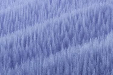 Winter's Pattern (Jingshu Zhu) - Muzeo.com