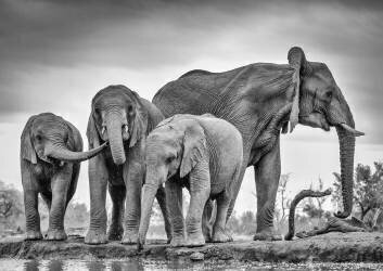 A Giant Unity (Jaco Marx) - Muzeo.com
