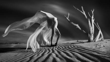 A journey into the moon (Paolo Lazzarotti) - Muzeo.com