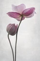 A Little Touch (Lotte Grønkjær) - Muzeo.com