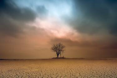 A loner (Piotr Krol (Bax)) - Muzeo.com
