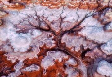 A Tree in the Desert (Mei Xu) - Muzeo.com