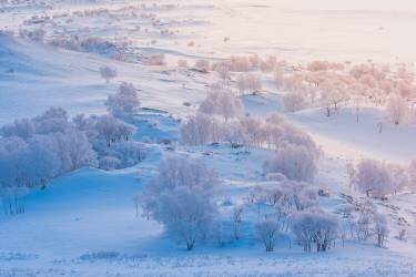 A world of ice and snow (Simoon) - Muzeo.com