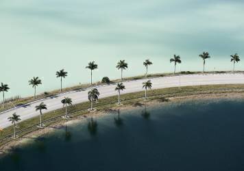 Aerial photograph of two ponds bisected by a road lined with Palm Trees (Cameron Davidson) - Muzeo.com