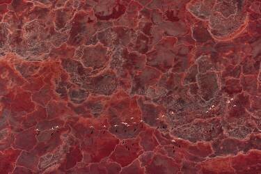 Africa Pallete (John Fan) - Muzeo.com
