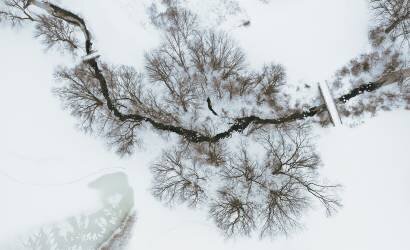 After snow (Wei (David) Dai) - Muzeo.com