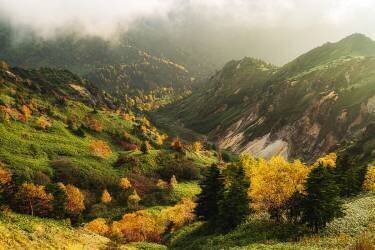 Alpine autumn (Yuusuke Hisamitsu) - Muzeo.com