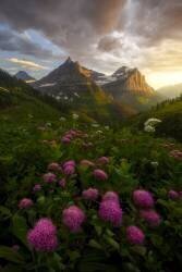 As It Fades (Ryan Dyar) - Muzeo.com