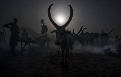 At a Mundari cattle camp - South Sudan (Joxe Inazio Kuesta) - Muzeo.com