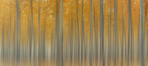 Autumn Delight (Lydia Jacobs) - Muzeo.com