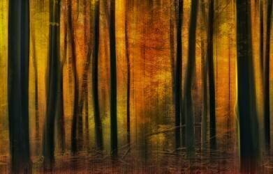Autumn falls (Jan Paul Kraaij) - Muzeo.com