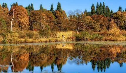 Autumn holidays for parents and children (Yuusuke Hisamitsu) - Muzeo.com