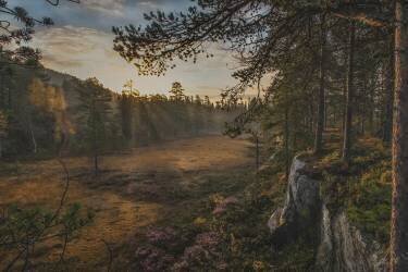 Autumn Mood (Sven Olav Vahlenkamp) - Muzeo.com