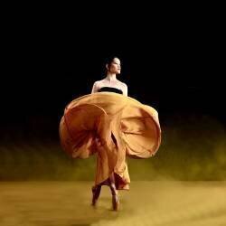 Ballerina dancer (Agus Adriana) - Muzeo.com