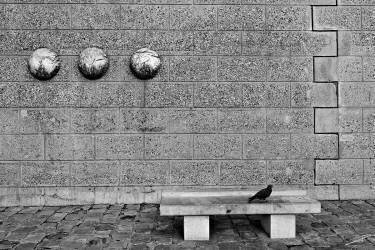 Banc pigeon ParisNR (Jérôme Prince) - Muzeo.com
