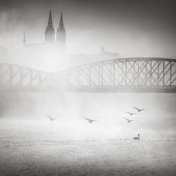 Basilica of St Peter and St Paul (Ronny Behnert) - Muzeo.com