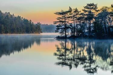 Before people wake (Benny Pettersson) - Muzeo.com