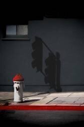 Big Brother (Roxana Labagnara) - Muzeo.com