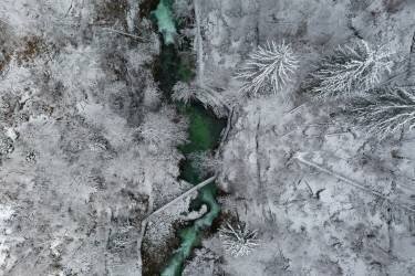 Blejski vintgar, Slovenia (Jure Kravanja) - Muzeo.com