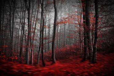 Bloody River (Samanta Krivec) - Muzeo.com