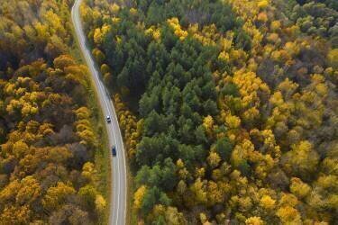 Bright moments of autumn (Dmitry Doronin) - Muzeo.com