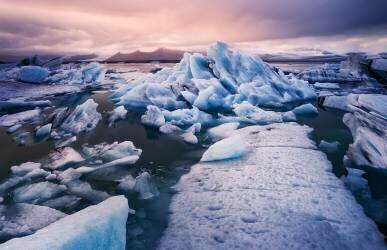 Calm (Queverenislandia) - Muzeo.com
