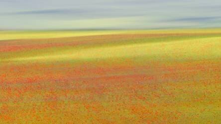 Castelluccio Colors (Roberto Marchegiani) - Muzeo.com