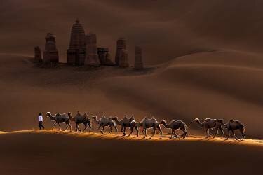 Castle and Camels (Mei Zu) - Muzeo.com
