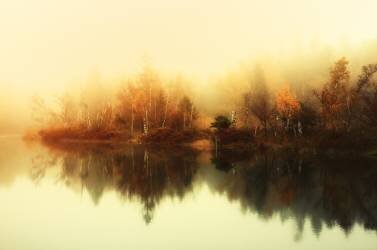 Classic mood (Anton van Dongen) - Muzeo.com