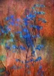 Colors Dance on Flowers (Delphine Devos) - Muzeo.com