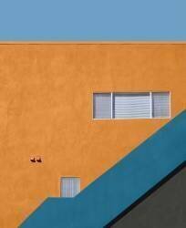 Condo (Roxana Labagnara) - Muzeo.com
