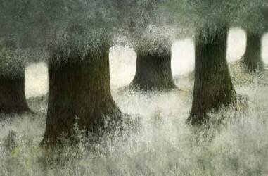 Connected (Nel Talen) - Muzeo.com