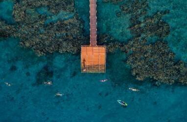 Coral escape (Ido Meirovich) - Muzeo.com
