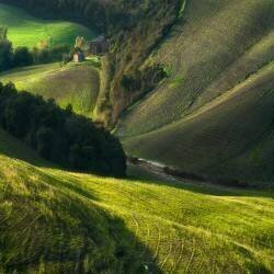 Crete Senses/Tuscany (Jarek Pawlak) - Muzeo.com